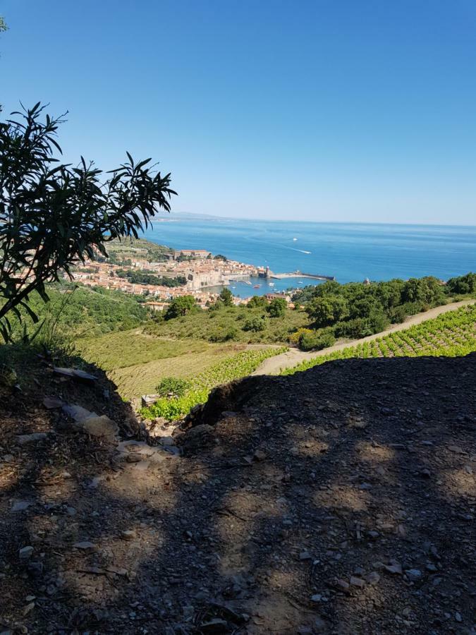 Residence Val St Elme Collioure Exterior foto